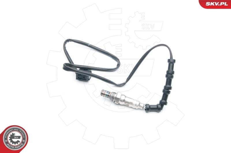 Oxygen Sensor